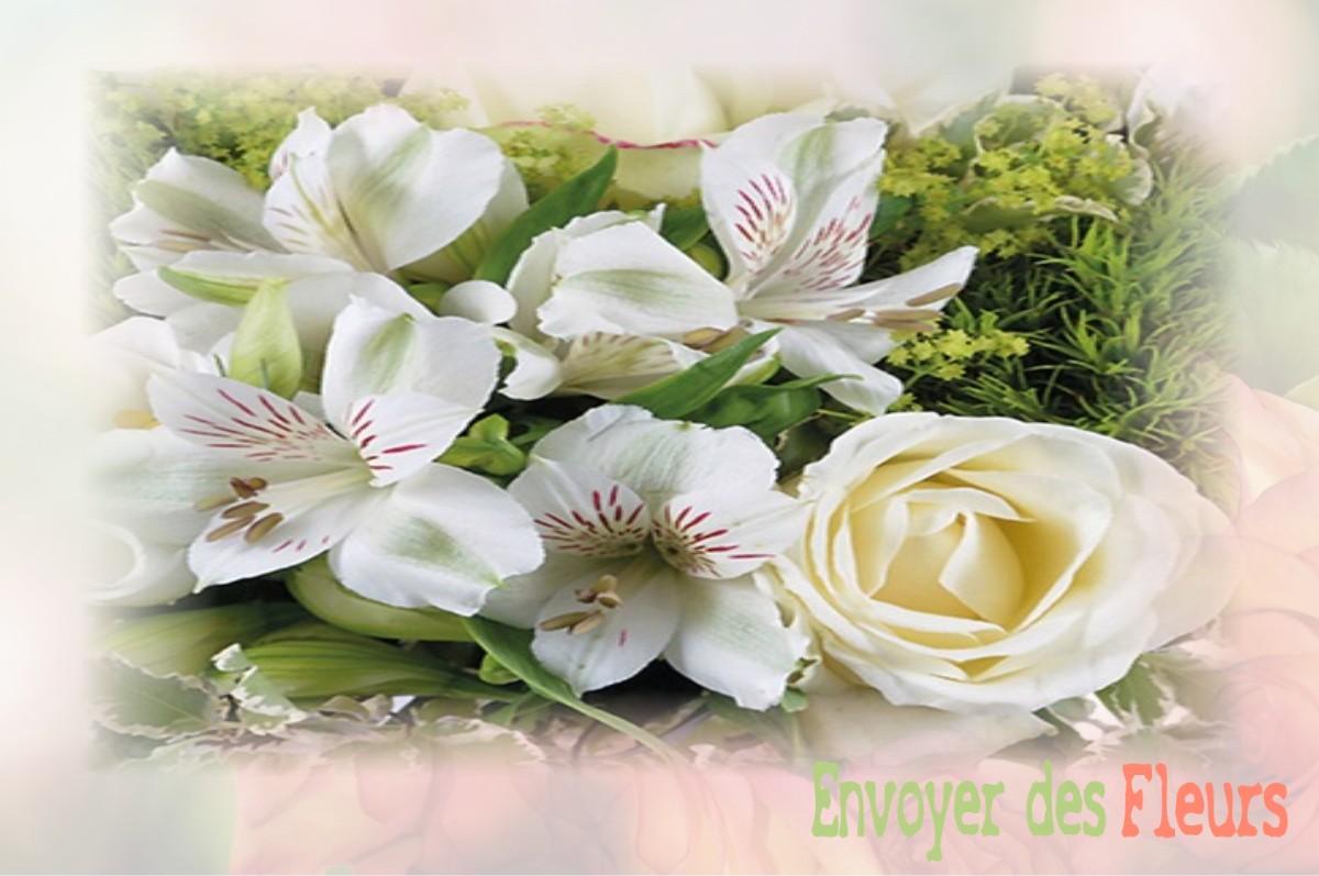envoyer des fleurs à à LANGUEVOISIN-QUIQUERY